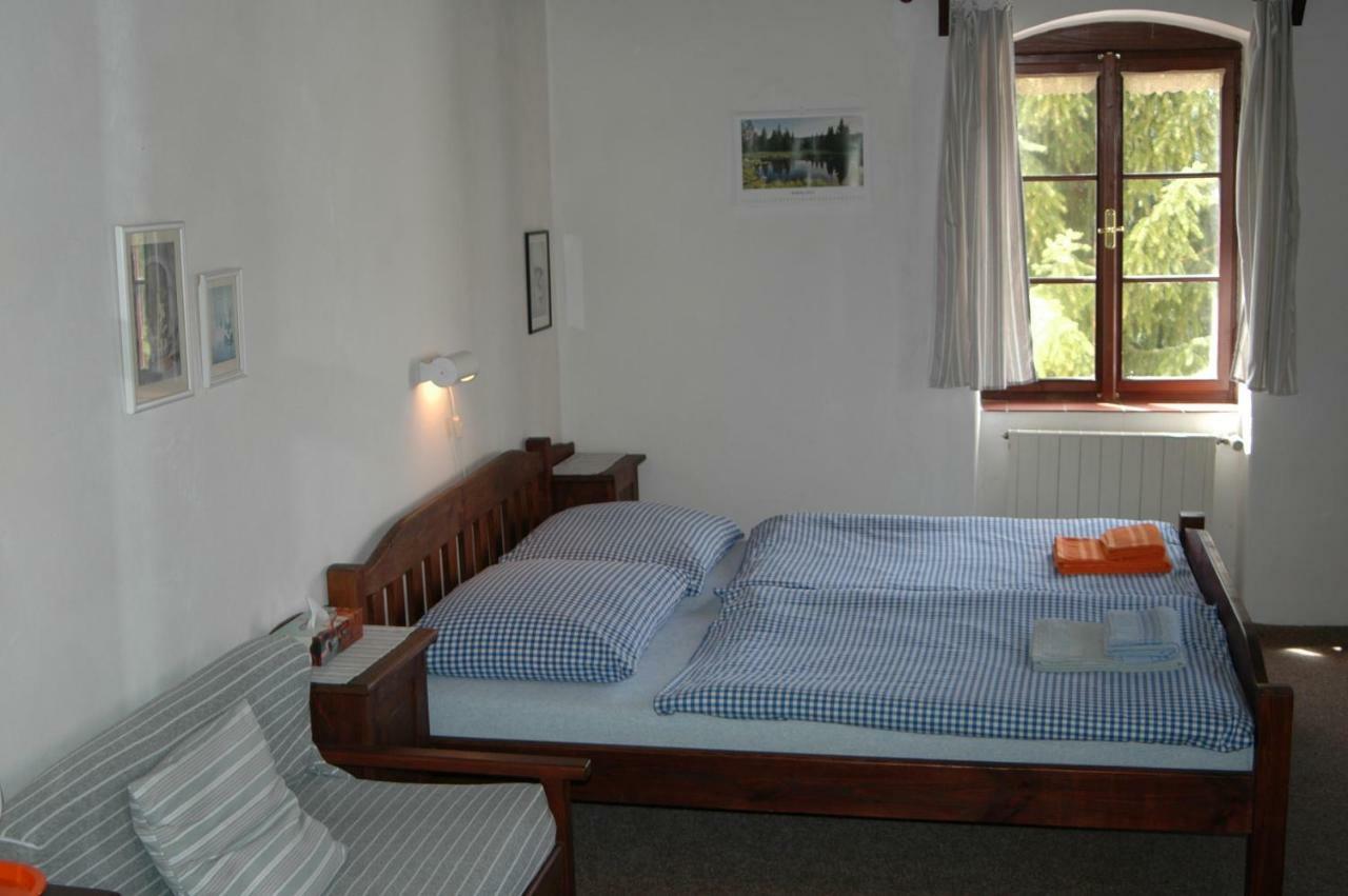 Pension Cervena Hotel Kasperske Hory Buitenkant foto